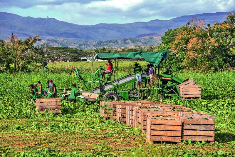agriculture enjeu préoccupant en Nouvelle-Calédonie Archives LNC agriculture enjeu préoccupant en Nouvelle-Calédonie Archives LNC