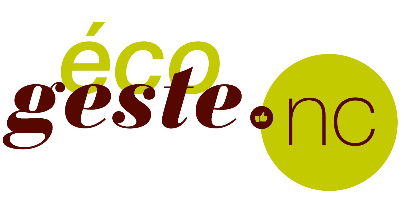 logo ecogeste.nc